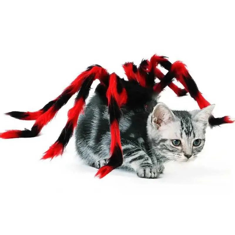 Cat Halloween Spider Harness Leash