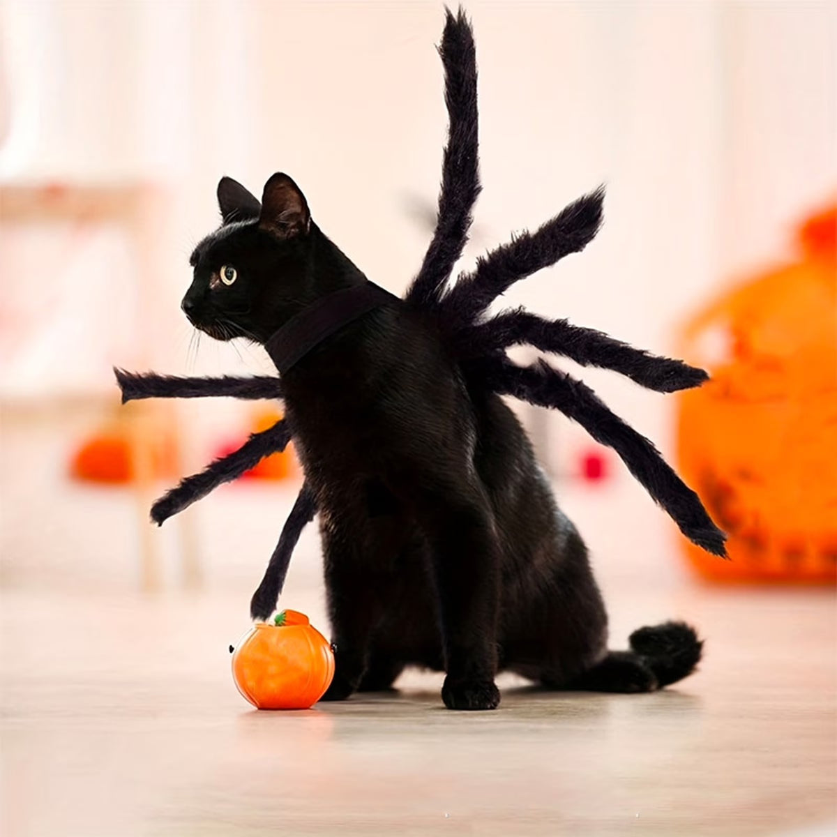 Cat Halloween Spider Harness Leash