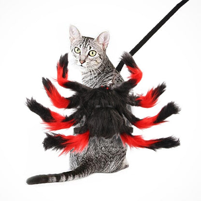 Cat Halloween Spider Harness Leash